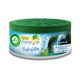 Airwick Air Freshener Gel can, Fresh waters, 70gm