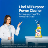 Lizol Power All Purpose Cleaner, 450 ml