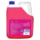 buy lizol liquid disinfectant floor cleaning liquid